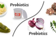 Is a healthy diet enough to maintain good health? Healthy diet