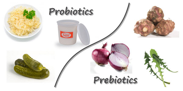 Prebiotic food sources
