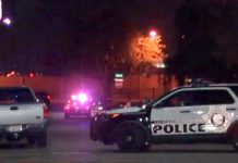 Investigation of metro murder case