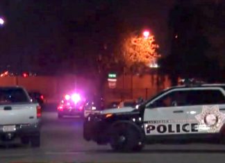 Investigation of metro murder case