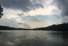 A Half-Day Escape from City Life in Singapore