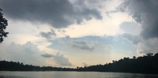 A Half-Day Escape from City Life in Singapore