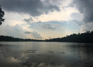 A Half-Day Escape from City Life in Singapore