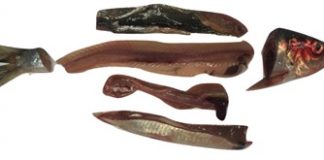 Herring filleting by-products Herring filleting by-products